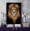 Постер, Грациозный лев, 60 x 90 см, Постер на Стекле в раме