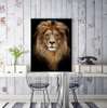 Poster, Graceful lion, 30 x 45 см, Canvas on frame