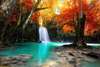 Wall Mural - Waterfall in the autumn forest
