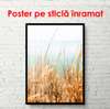 Poster - Un câmp de porumb lângă mare, 30 x 60 см, Panza pe cadru, Natură