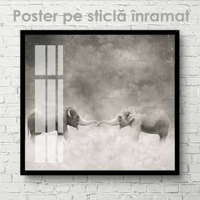Постер, Баланс, 100 x 100 см, Постер на Стекле в раме, Животные