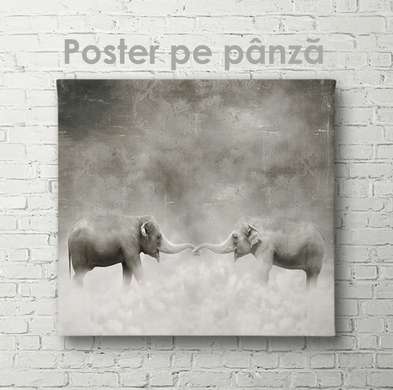 Постер, Баланс, 100 x 100 см, Постер на Стекле в раме, Животные
