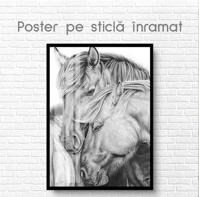 Poster, Family, 60 x 90 см, Framed poster on glass, Animals