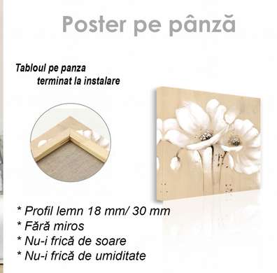 Poster - Floare albă pe fundal bej, 30 x 45 см, Panza pe cadru