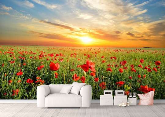 Wall Mural - Sunset in a field with poppies