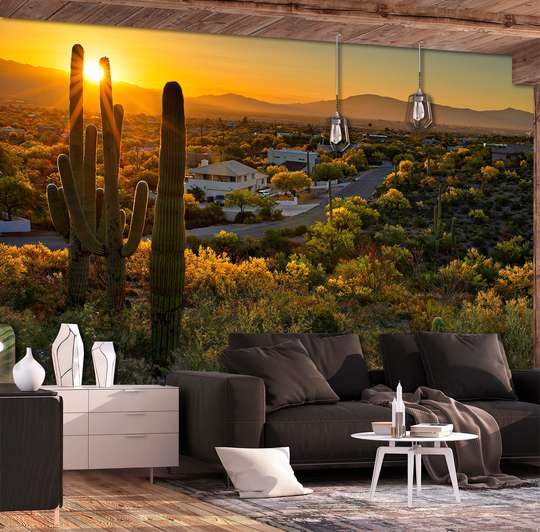 Wall Mural - Cacti in the city at sunset