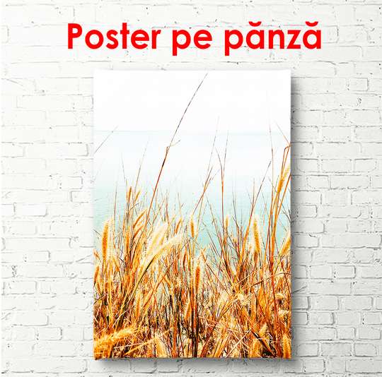 Poster - Barley field by the sea, 30 x 60 см, Canvas on frame
