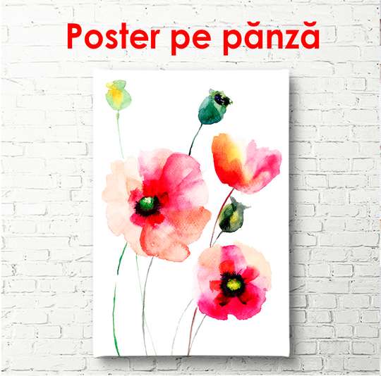Poster - Painted red poppies, 60 x 90 см, Framed poster