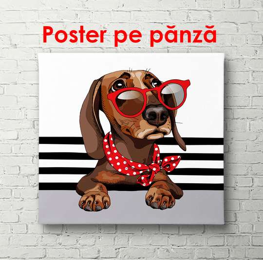 Poster - Brown dachshund with red glasses, 100 x 100 см, Framed poster