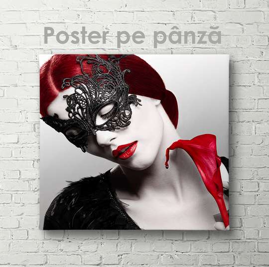 Poster - Lady in a mysterious mask, 40 x 40 см, Canvas on frame