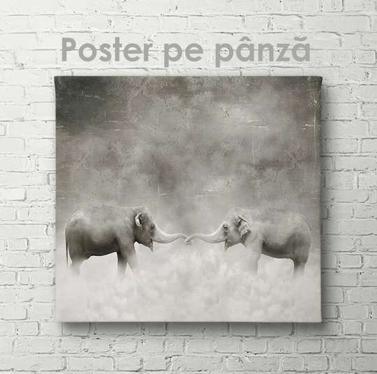 Poster, Balance, 40 x 40 см, Canvas on frame, Animals