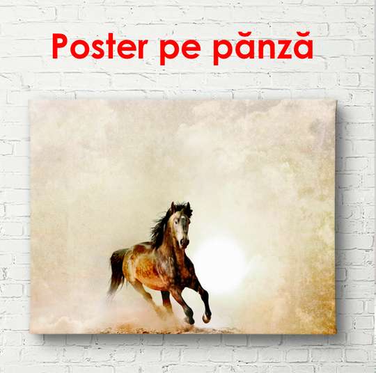 Постер, Бегущий конь по пустыне, 90 x 60 см, Постер в раме, Животные