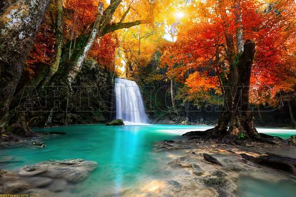 Wall Mural - Waterfall in the autumn forest