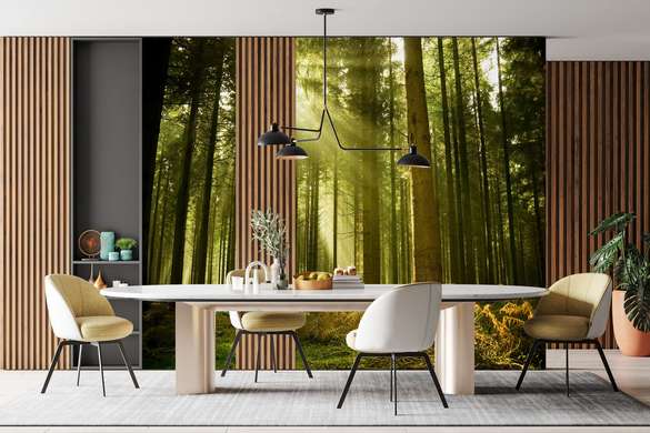 Wall Mural - In the depths of the forest