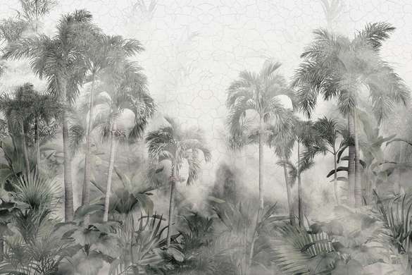 Wall Mural - Fog in the jungle