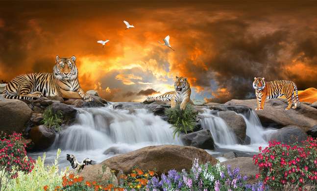 Fototapet - Tigri pe fundalul unei cascade