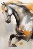 Poster - The horse and the flower, 60 x 90 см, Framed poster on glass, Sets