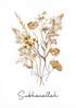 Poster - Beige Dried Flower Bouquet, 30 x 45 см, Canvas on frame, Botanical