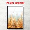 Poster - Un câmp de porumb lângă mare, 30 x 60 см, Panza pe cadru, Natură