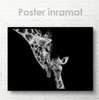 Poster, Mother Giraffe and her cub, 90 x 60 см, Framed poster on glass, Animals