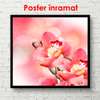 Poster - Pink orchid flower, 100 x 100 см, Framed poster, Flowers