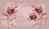 Фотообои - Розовые розы