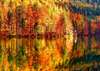 Wall Mural - Landscape of autumn forest