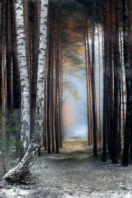 Постер - Тропинка в лесу, 30 x 45 см, Холст на подрамнике