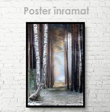 Poster - Path in the woods, 30 x 45 см, Canvas on frame