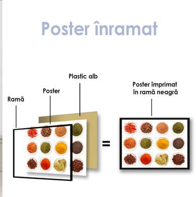 Poster - Plateau of different spices, 90 x 60 см, Framed poster on glass