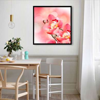 Постер - Цветок розовой орхидеи, 100 x 100 см, Постер в раме, Цветы