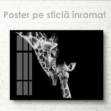 Постер, Мама Жираф и ее детеныш, 90 x 60 см, Постер на Стекле в раме, Животные