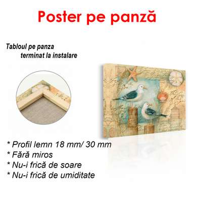Постер - Чайки на фоне карты, 40 x 40 см, 90 x 60 см, Постер в раме, Прованс