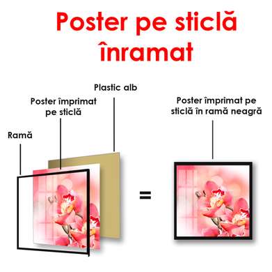 Poster - Floare de orhidee roz, 100 x 100 см, Poster înrămat, Flori