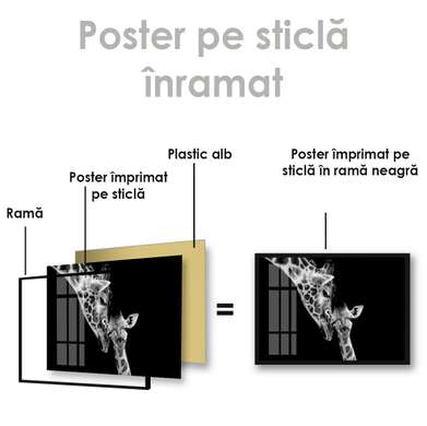 Poster, Mama girafă și copilul ei, 90 x 60 см, Poster inramat pe sticla