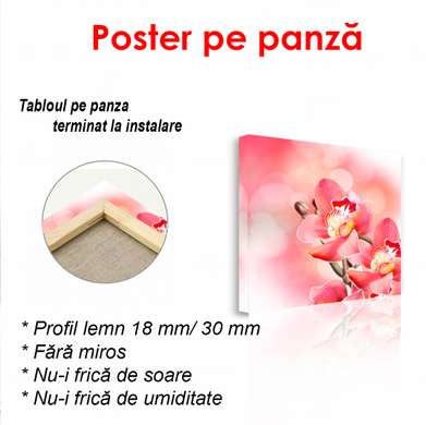 Poster - Floare de orhidee roz, 100 x 100 см, Poster înrămat, Flori