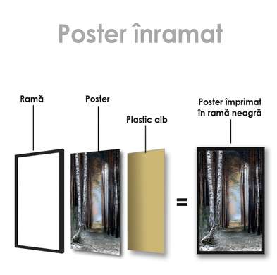Постер - Тропинка в лесу, 30 x 45 см, Холст на подрамнике