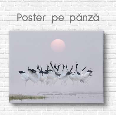 Poster, Flock of herons
