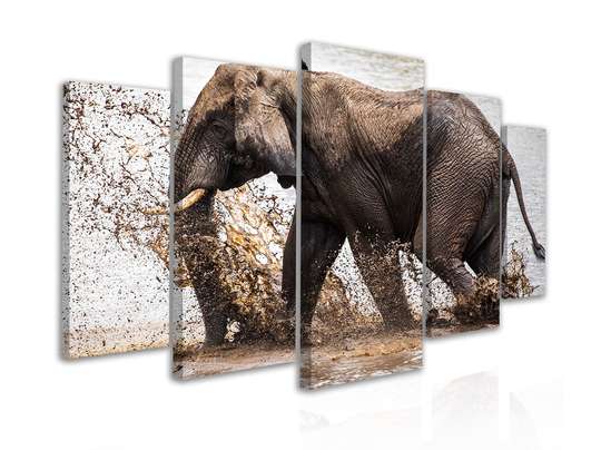 Tablou Multicanvas, Elefantul se balaceste, 108 х 60