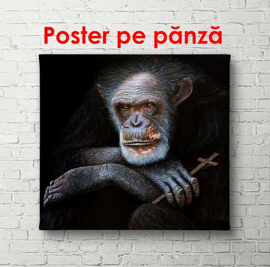 Poster, Maimuță pe un fundal negru, 100 x 100 см, Poster înrămat, Animale