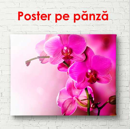 Постер - Фиолетовая орхидея на камнях, 90 x 60 см, Постер в раме, Цветы