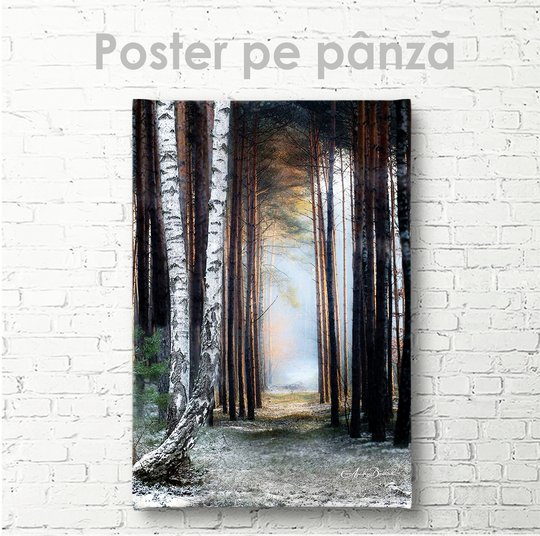 Poster, Poteca din pădure, 30 x 45 см, Panza pe cadru