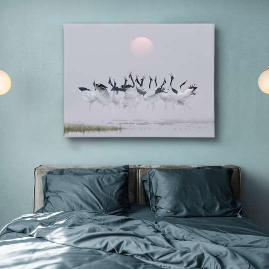 Poster, Flock of herons, Animals