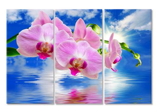 Modular picture, Pink orchids on a blue background.