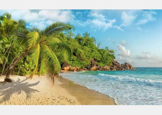 Фотообои - Пляж и пальмы