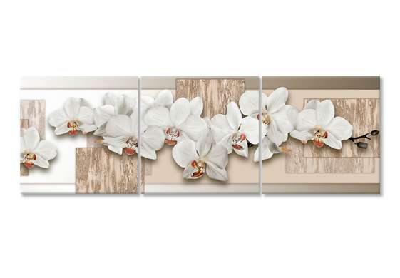 Модульная картина, Белые орхидеи на бежевом фоне, 225 x 75