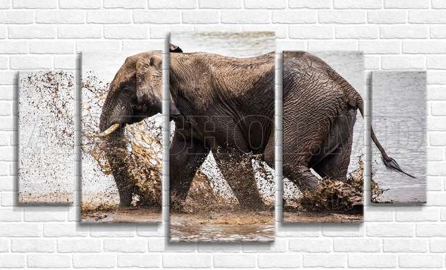 Modular picture, The elephant staggers, 108 х 60