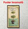 Poster - Green branches, 50 x 150 см, Framed poster, Provence