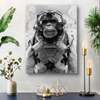 Постер, Черно белый снимок обезьяны, 60 x 90 см, Постер на Стекле в раме, Животные