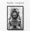 Poster, Black and white picture of a monkey, 30 x 45 см, Canvas on frame, Animals